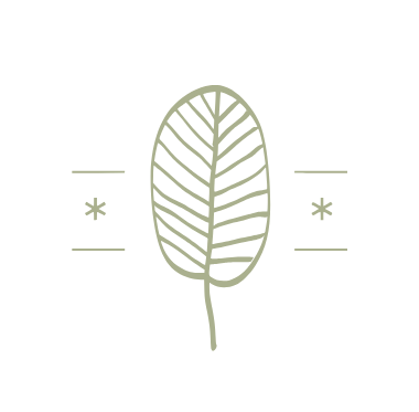 National Holistic Consulting ACO logo